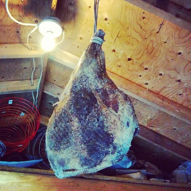 TheChefHuntsman's tweet image. Venison leg prosciutto.... Nov. 2014.....