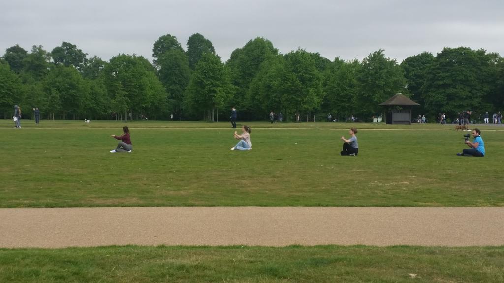 Nutshelldance's tweet image. In the Park - we picked up an extra performer. #ParkLife @InTRANSITFest