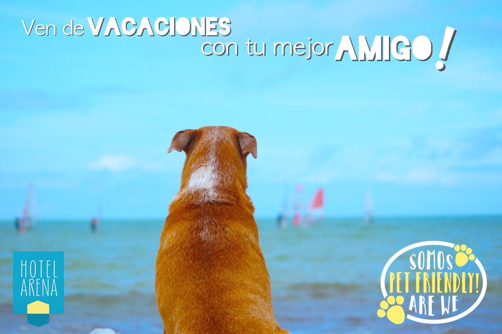 HArenaHolbox's tweet photo. We are Pet Friendly!! And we are so excited! 😃☀️🌴🚲🐕 http://t.co/u6ApvtTZiI