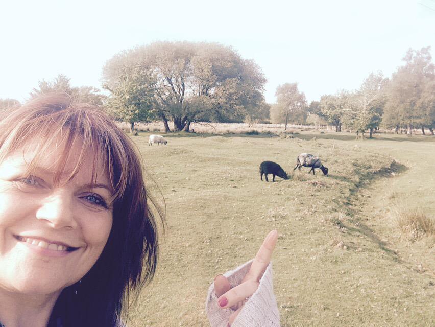 debbieflint's tweet photo. Walk round @belstoneVillage #devonBreak ... Have you any wool?!' Lol x http://t.co/woNoshsfQI