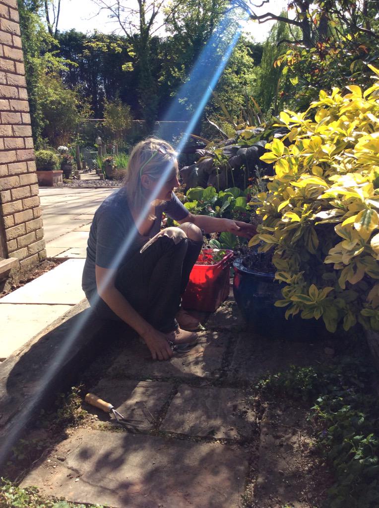 JewelsPorcelain's tweet photo. Thanks to Sarah and William for there inestimable weeding@ Jewels Porcelain #NGS http://t.co/C4loCz8Qzp