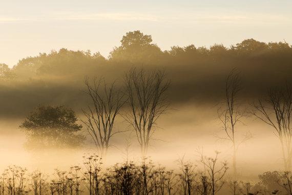 MillRockPics's tweet photo. Foggy Morning Photograph, landscape print, open field, country, Americana, wall art by… http://t.co/bU8JLvCnQS http://t.co/Y2t0LrhUkB