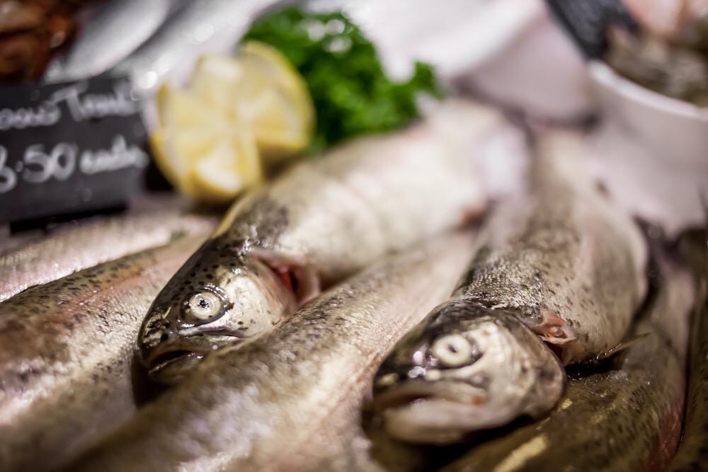 sarahazeldine's tweet image. From the archives but I still love this, taken at Hallams in Beeston. #fish #fishcounter #freshfish #foodphotography