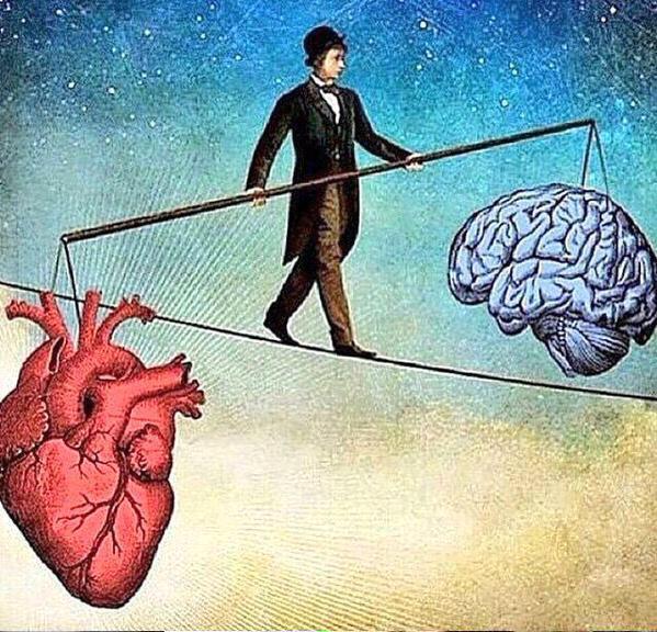 cmamanquilafait's tweet photo. Le coeur... le cerveau... tout les deux indispensable mais les deux penvent vous faire chaviré. http://t.co/IDv9TMJ0On