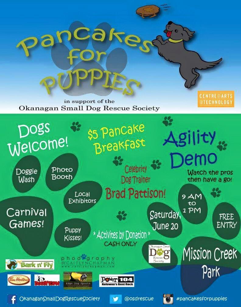 sammorros's tweet photo. An amazing #Kelowna charity event coming up on June 20th. For #Families and #DogLovers in support of the @osdrescue http://t.co/scvf0Lsbk4