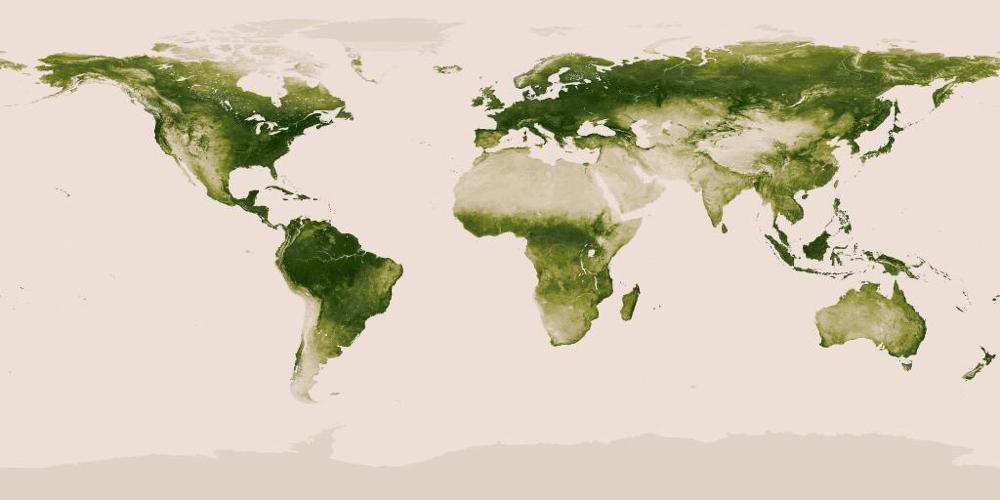 Map of the Earth's vegetation.