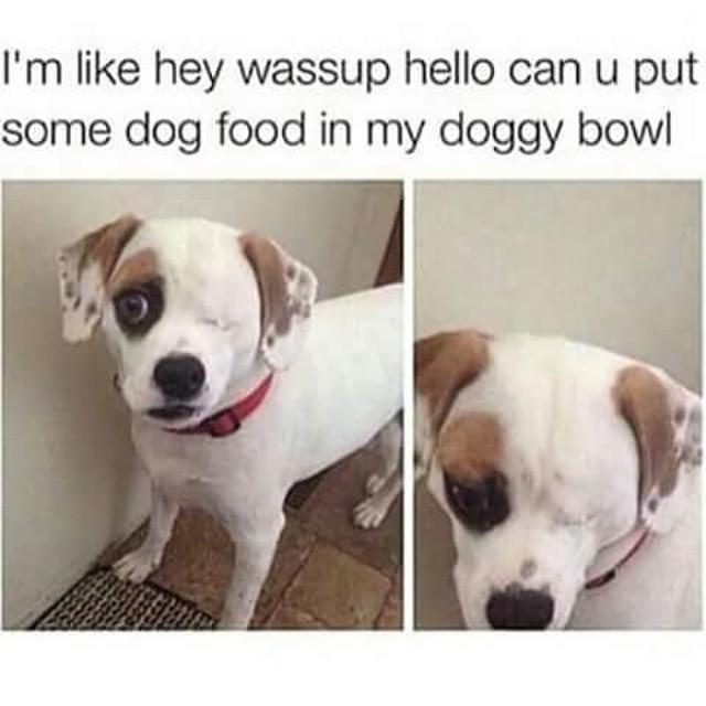 horn_ly's tweet photo. Fetty pup #lmao #lol #funnyaf #yallplaytoomuch #fettywap #TreyClef #Clefgang #hiphop #Tampahiphop #tamparap #rap #i… http://t.co/LPDUr1fBnw