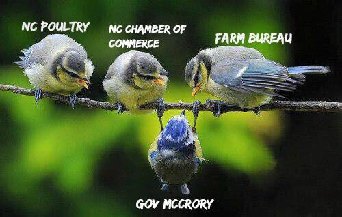 Matt_Dominguez's tweet photo. .@PatMcCroryNC is being bullied by special interest groups. RT/show him that the public wants #NCAgGag to be vetoed http://t.co/2JC0exfykw