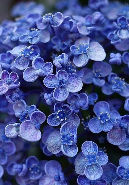 irina_holma's tweet photo. @giannicontarin1 #JustSpring http://t.co/kBFHw1iHbQ