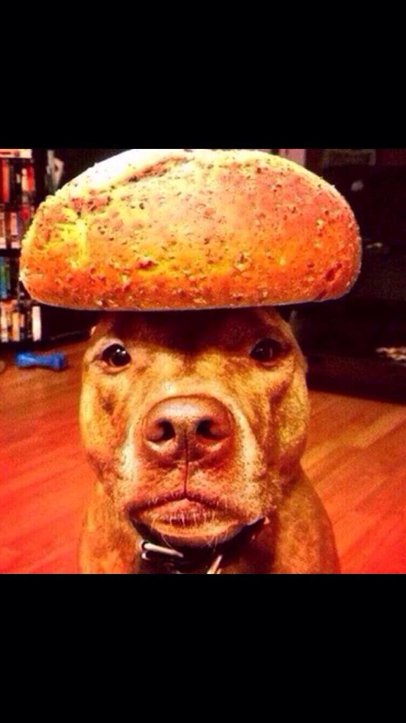 Bread Pitt