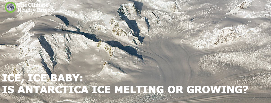 ClimateReality's tweet photo. Antarctica ice: Is it melting, or is it growing? A climate myth debunked. [Video] http://t.co/ydfRGverNz http://t.co/YYAv63Mj6n