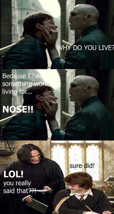 h_potter80 tweet picture