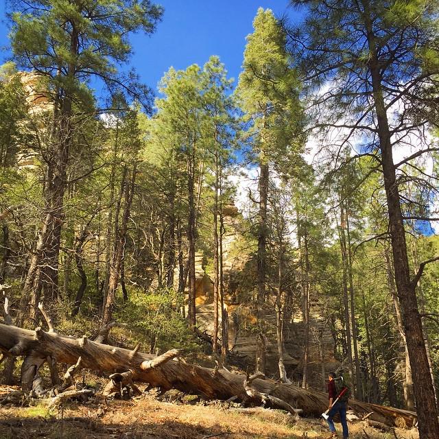 karoline_ross's tweet photo. Surround yourself in nature and adventure will come. Be Man Made!!
#bemanmade #exploreever… http://t.co/rryEmdCKQT http://t.co/Mtl9cRRsrm
