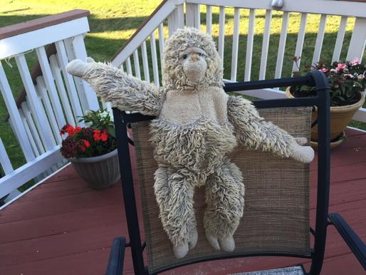 Andylevin's tweet photo. @ItsBennyBlanco @jewboogs send me $250,000 ransom or Bingo your childhood monkey is a goner http://t.co/mIiG2aS0dx