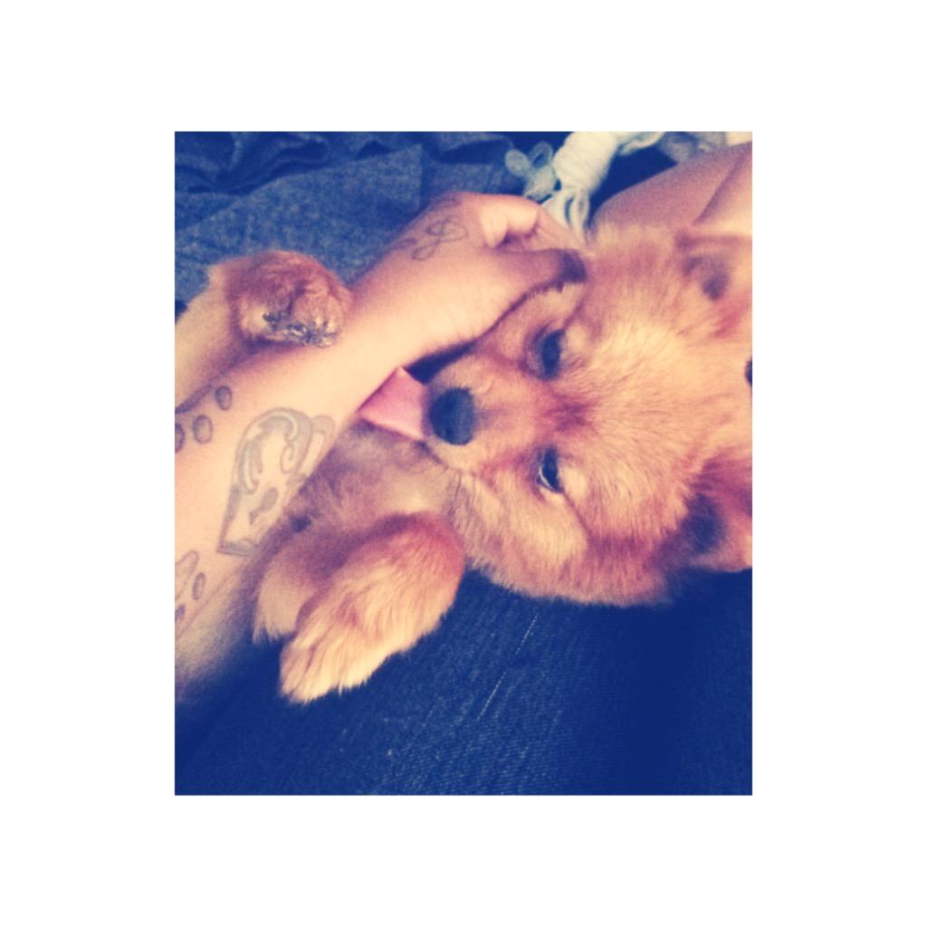 BossMinnie's tweet image. 