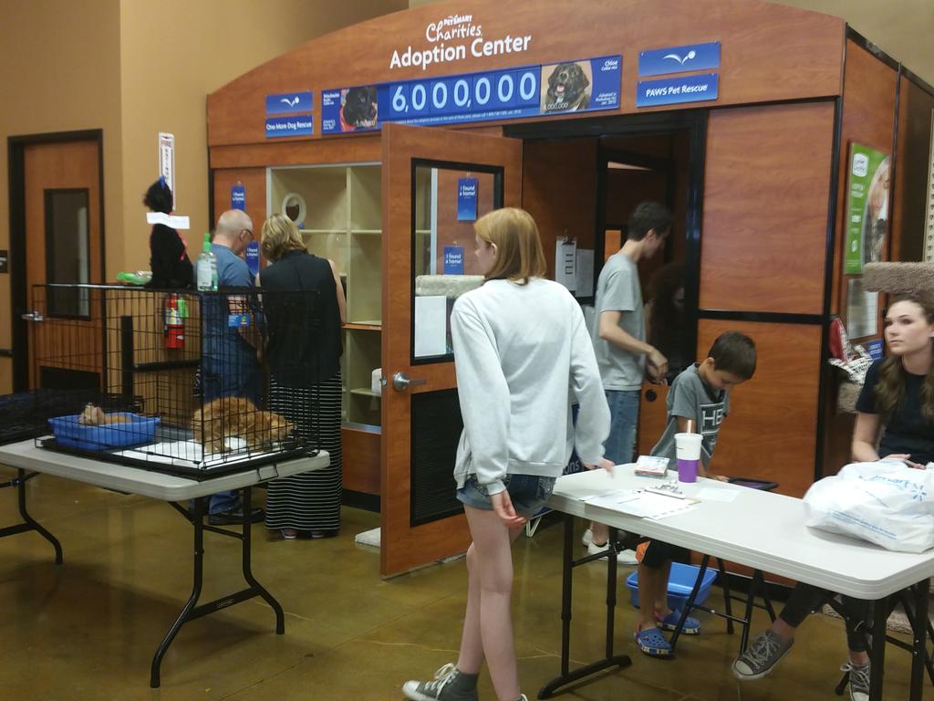 PAWSforAdoption's tweet photo. Keeping busy here at PAWS today.. make sure to follow us on Facebook to get updates on upcoming adoptables! http://t.co/BboObKDDWL