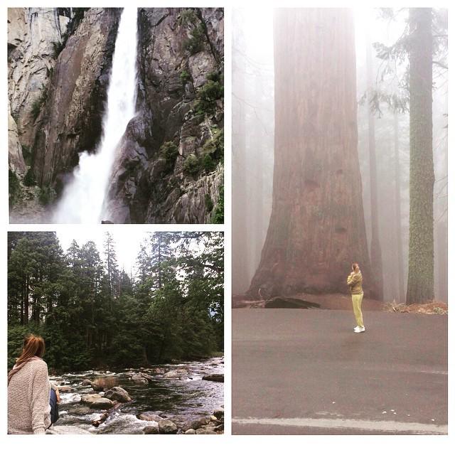 NatlParksPhotos's tweet photo. Parques Nacionales de #USA #sequoia #yosemite #california #naturalmonuments #nationalparks #nature #InstaSize by be… http://t.co/C17fq4Dh2k