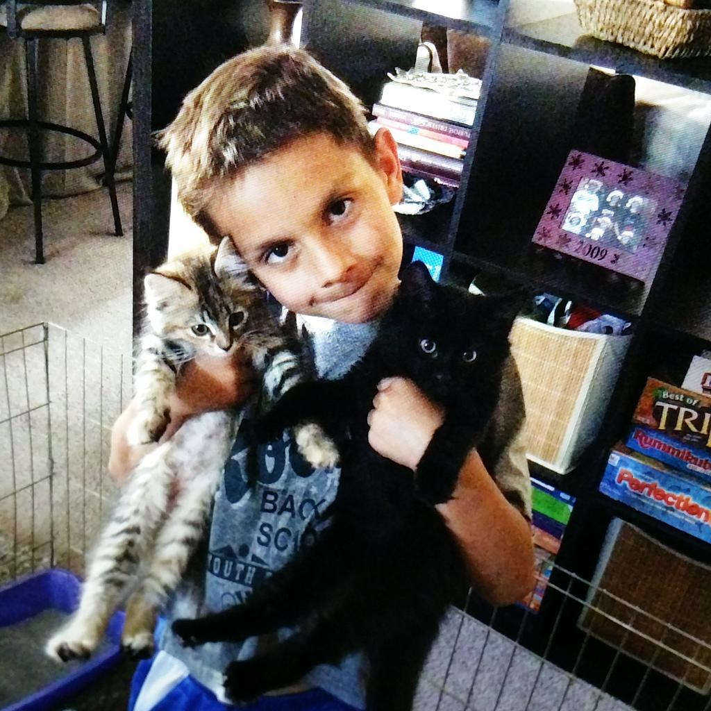 PAWSforAdoption's tweet photo. This is our Jr. Volunteer/Foster w/ two of our latest adoptables.. Rolex &amp; Timex both found their forever homes! Yay! http://t.co/spjrnvjReK