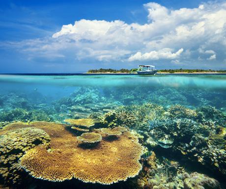 A Luxury Travel Blog tweet media