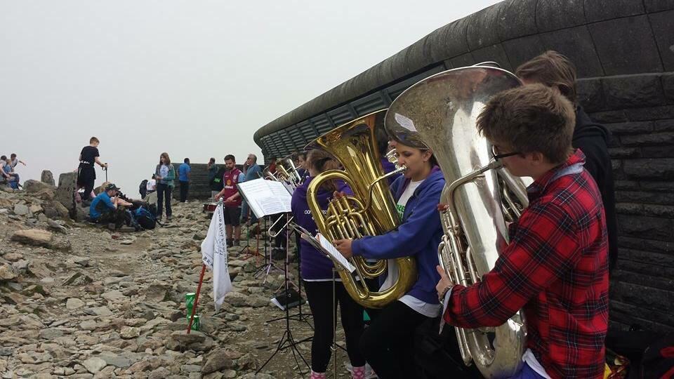 oompahfessional (@oompahfessional) on Twitter photo 