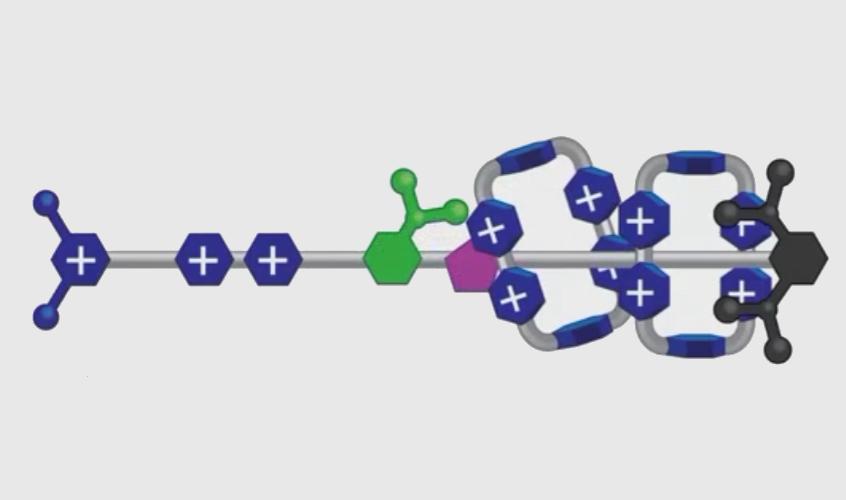 gizmag's tweet photo. Scientists create world's first fully-artificial molecular pump - http://t.co/Ux7lzHR7Nl http://t.co/LqpxXA2pdJ