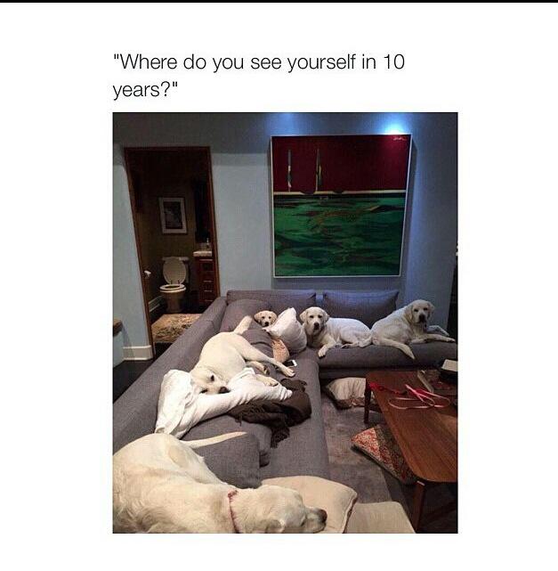 shantim717's tweet photo. @carrie_parrott 😂😂😂 life goal http://t.co/wMPkaR8Jdd