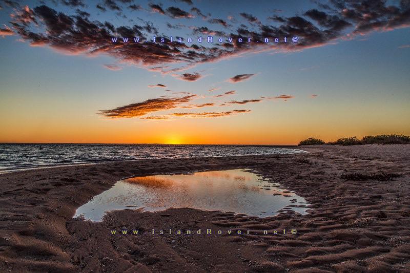 APadayhag's tweet photo. Dolphin, Sunrise &amp; Skies in #monkeymia . More photos http://t.co/mkrF3caGdW @WestAustralia http://t.co/l813G40XH8