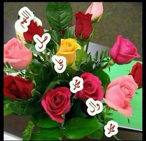 ebe93d47ee3e410's tweet photo. اللهم صل على محمد وال محمد 
    صباح الخير http://t.co/GXwNbS5DDX