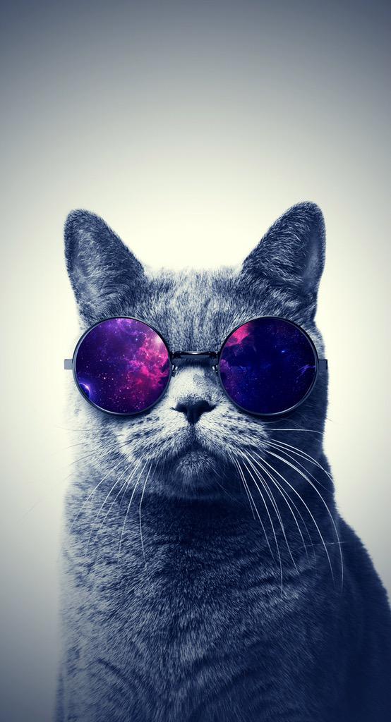 maxipluss's tweet photo. Günaydın insanlık,
Keyifli pazarlar.. ; ) http://t.co/61PGEssSYq
