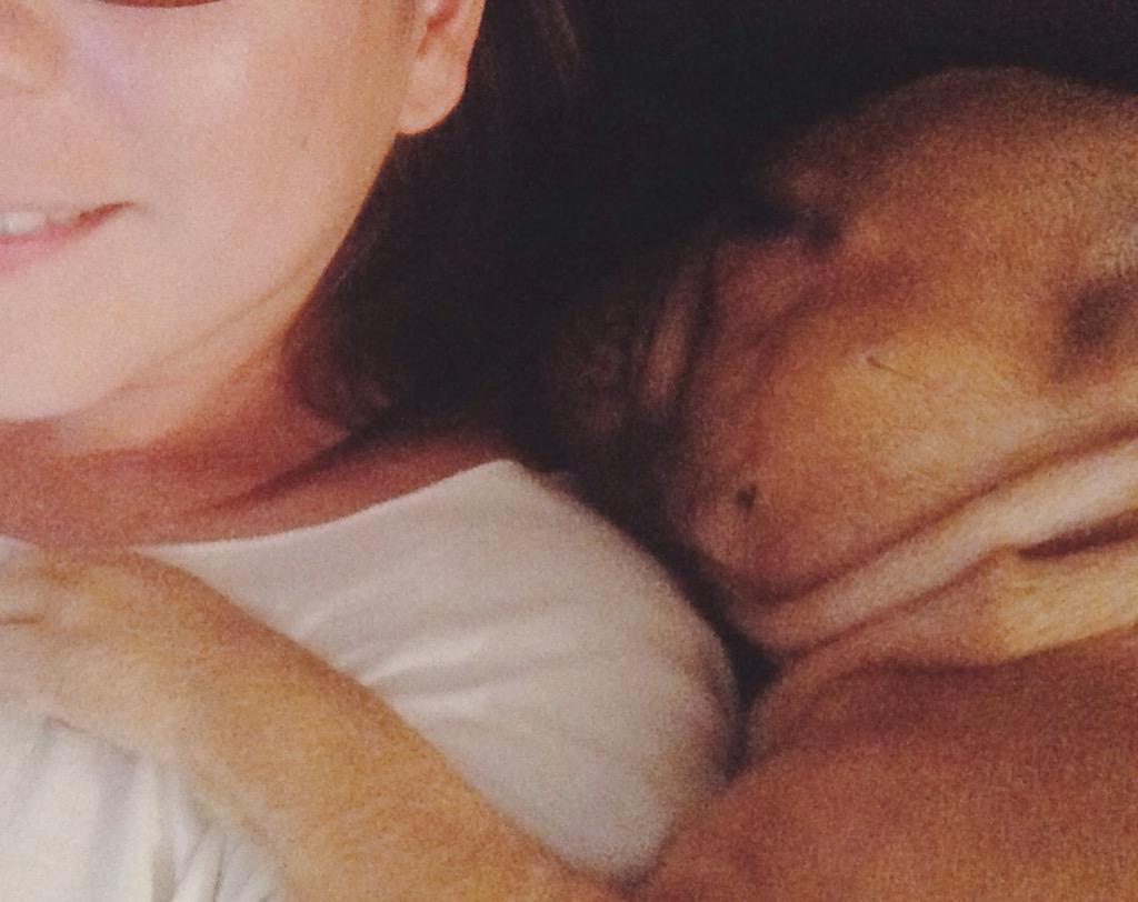 Imakemyself_'s tweet image. Snore-a-by #Frenchie #frenchieproblems #frenchbulldog