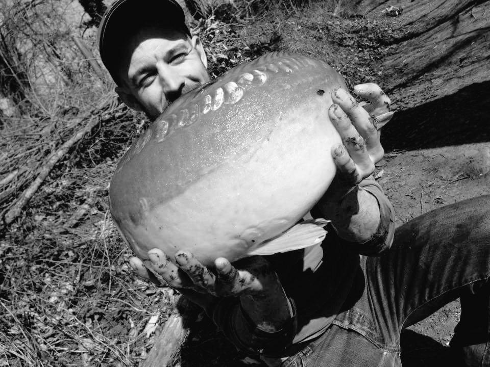 moorecarp's tweet photo. What do well all think to this one? Cant make heads nor tails?... #carpuk #moorecarp #catchmoorecarp http://t.co/Z40VEjKpy7