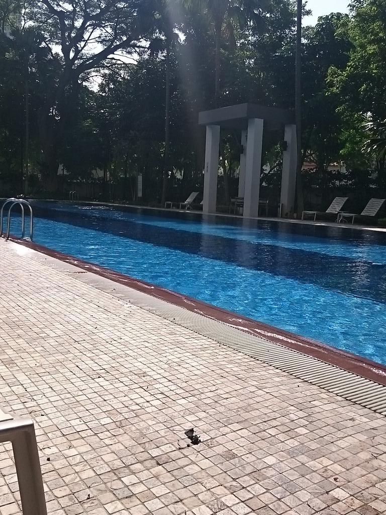 blissfulpia's tweet image. Swimming for healthy lifestyle #health #BloodPressure #controlbp