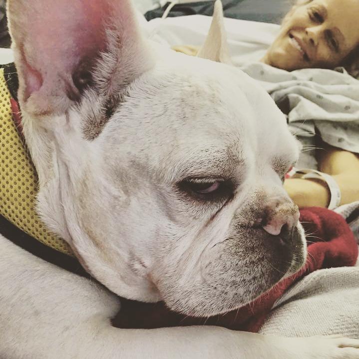 EdwardsChief's tweet image. 