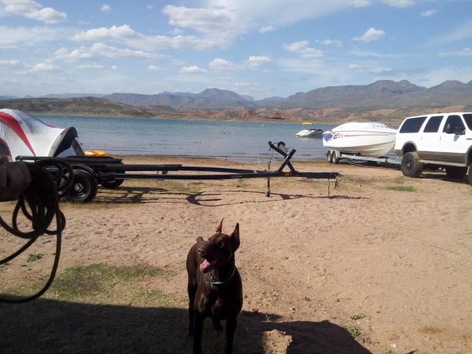 Guess where I went today! http://t.co/ijQoCgcfPY<a href="/tag/mvsales"class="tags"><span>#mvsales</span></a>