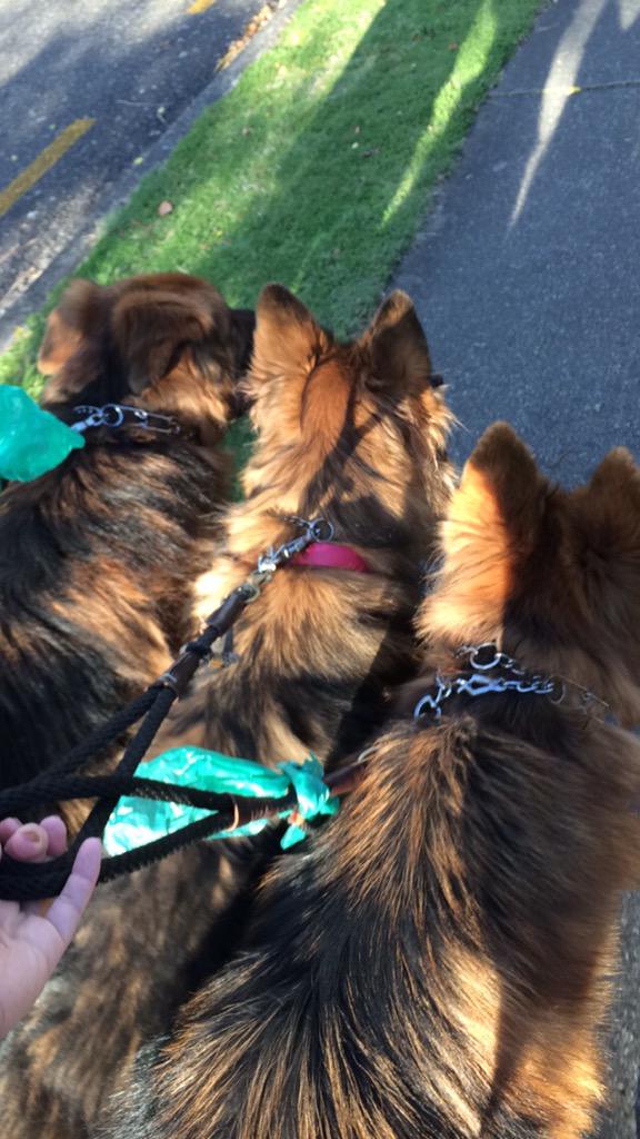 nics_hall's tweet photo. Sunday stroll 😊 http://t.co/A0IOFVC2eV