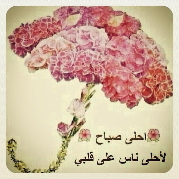 alrkibe99's tweet photo. @AAboalhas http://t.co/QliIS89zHK