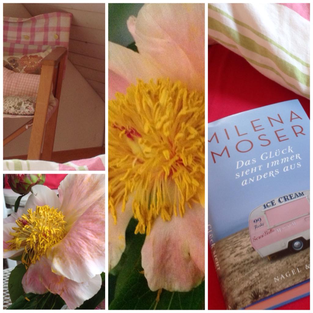 schaefershf's tweet image. @AltherrA habe einen herrlichen Pfingstlesemorgen verbracht - #MilenaMoser - as is - tut gut 👒🌸🍀