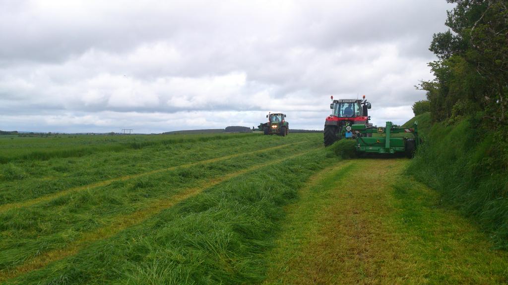 padraig_ocall's tweet photo. Loving the silage fever ;-) #ocallaghanagri #silage15 @Eily06 http://t.co/FaLhZwqShn