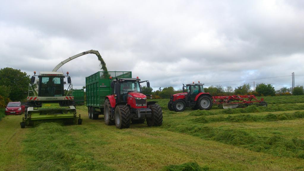 padraig_ocall's tweet photo. Loving the silage fever ;-) #ocallaghanagri #silage15 @Eily06 http://t.co/FaLhZwqShn