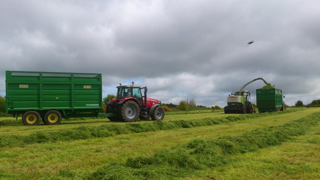 padraig_ocall's tweet photo. Loving the silage fever ;-) #ocallaghanagri #silage15 @Eily06 http://t.co/FaLhZwqShn