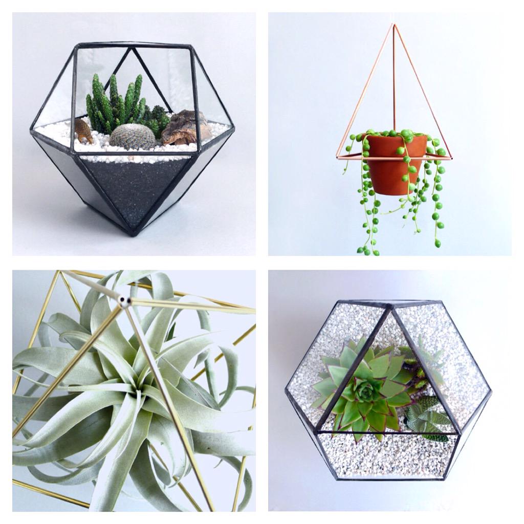 Tiny Kingdom tweet media