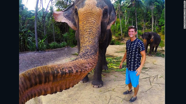 Forget selfies! This elephant grabs camera and takes amazing 'elphie': cnn.it/1GwCRf0