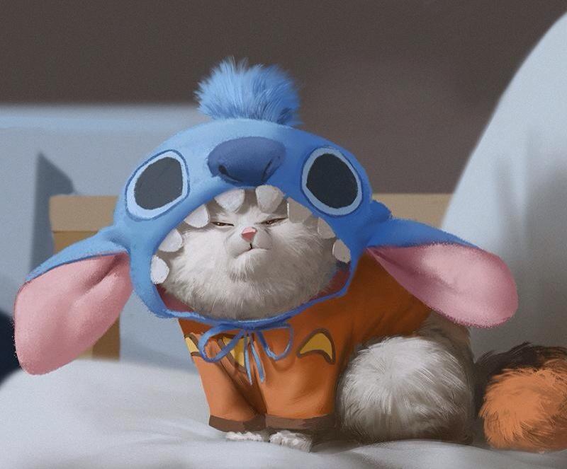 {These humans keep saying that I look adorable in that costume....Seriously?!Do I /LOOK/ cute to you?!}