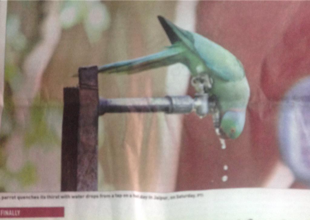 sprasadfj's tweet photo. #Delhi Heatwave at 45celcius #home #remedies #faalsa sherbet #banta #aam panna #jal zeera or #Fijime @natlonehat http://t.co/aWIvdcMo5I