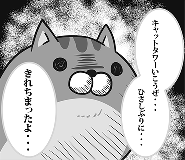 もふ屋 元ネタありのもの 作ってみたものの さすがにパロディ感が強すぎてボツにしました 審査は通ったんですけどね 笑 ボンレス猫 Http T Co Djzruj5l5j