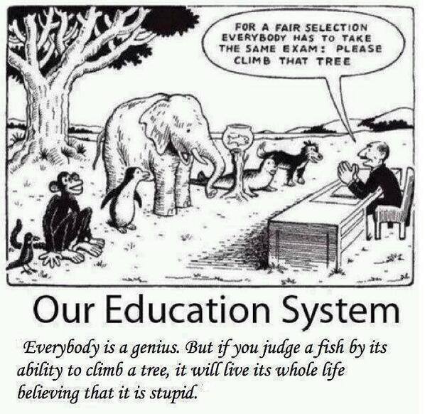 AbdulAmmar2's tweet photo. Our Educational System :( #Pakistan #MSMPk #Kashmir #Islamabad #Lahore #StudentsLoveMSM #MSM4Peace #PAT #TuQ #Axact http://t.co/AEKJCxV35B