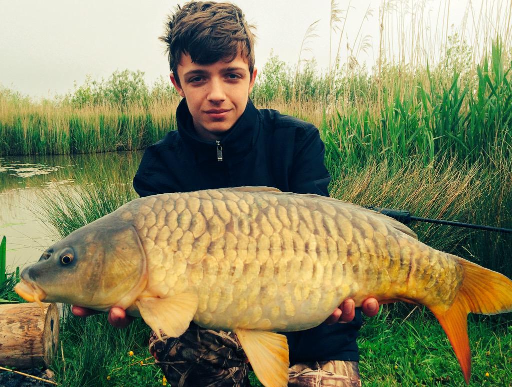Dom_Baird98's tweet photo. Nice fully scaled mirror not the biggest but one of my prettiest fish I've caught #ProBaitsUK @UkBaits #Carpfishing http://t.co/SQ9cmYXiDs