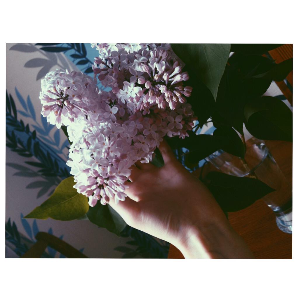 Lina_0000's tweet photo. Когда на творчество пробило😂😌 http://t.co/HXS6TnaRJY