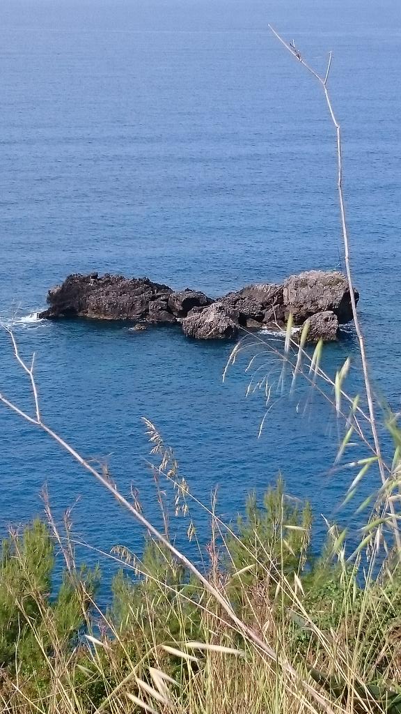 ciopred's tweet image. Faccio un bagno lì!