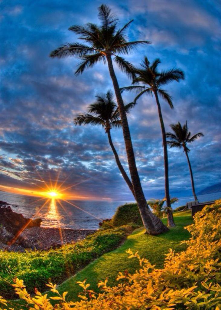 MarionSpekker's tweet photo. @huskorkut Thank you :-)) 
Have a nice day 🍂🍂 http://t.co/fDJa9wcvzn